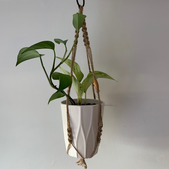 Macrame Plant Hangers - Picture 6 of 9